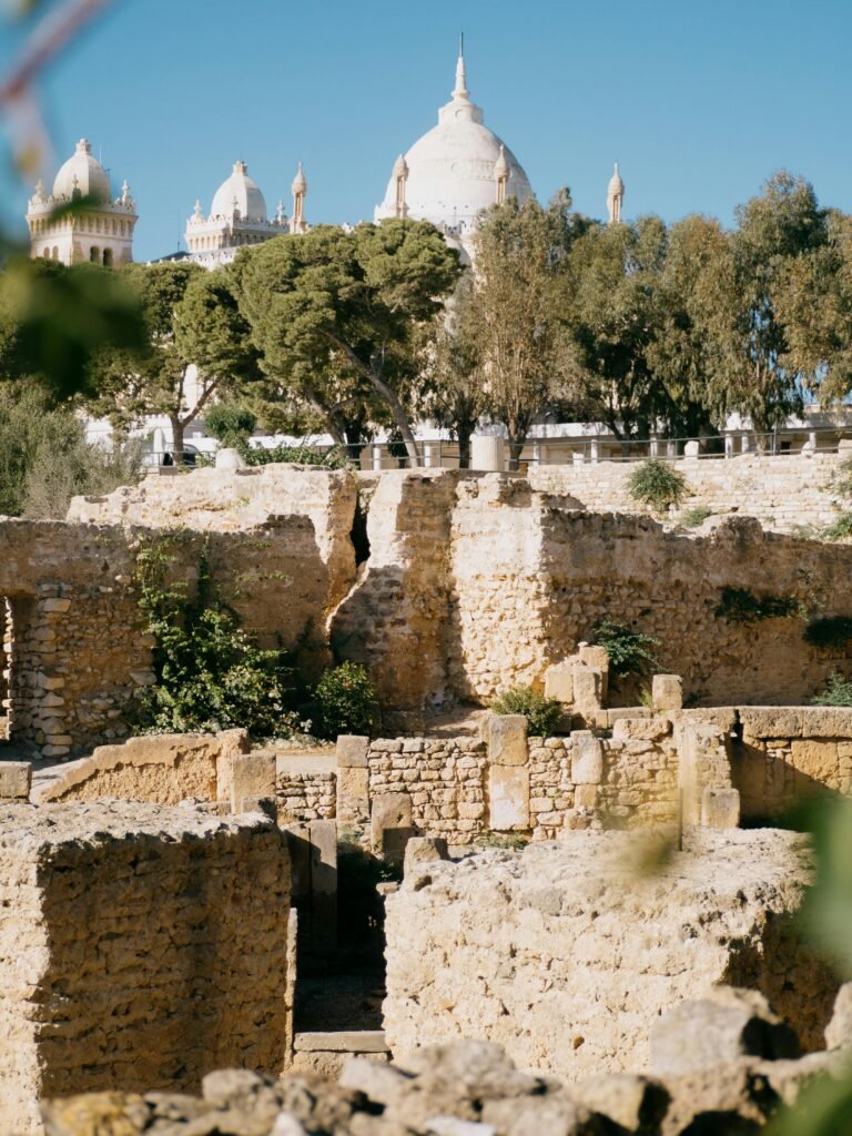 Explore the ancient ruins of Carthage with stunning architectural landmarks in Tunis, Tunisia.